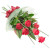 Love U Softy 6 Red Roses