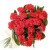 24 Red Carnation