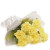Sunny Delight 12 Yellow Carnations