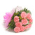 12 Pink Carnations