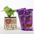 Syngonium Plant in Love Wife Vase With Dairy Milk Silk Chocolates