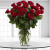 24 Enchanted Roses - Online flower delivery