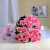 Sweet Pink 25 Pink Roses Online