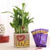2 Layer Lucky Bamboo In Love Vase With Dairy Milk Chocolates