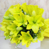 Green Light For Love 6 Yellow Lilies Online