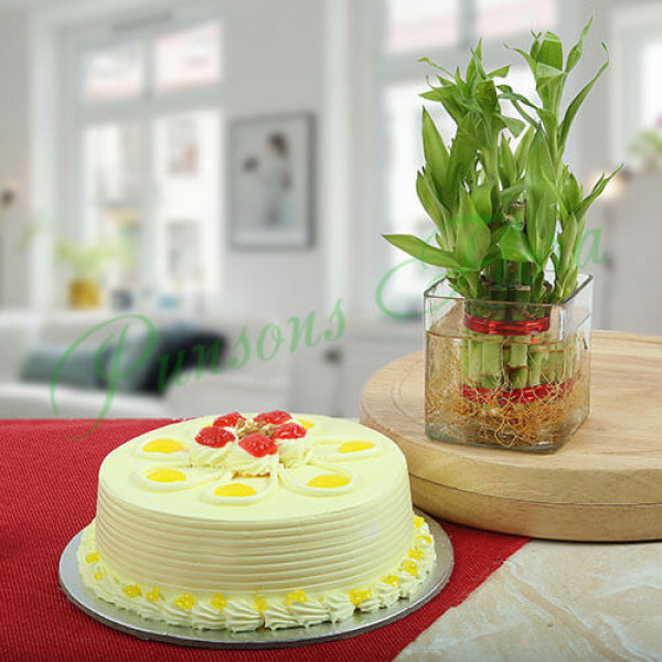 Butterscotch Cake With Bamboo Plant