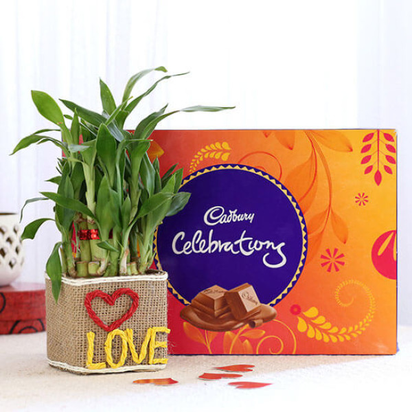 2 Layer Lucky Bamboo In Love Vase With Cadbury Celebrations