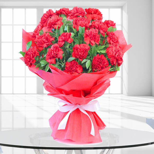 True Modesty 20 Red Carnations