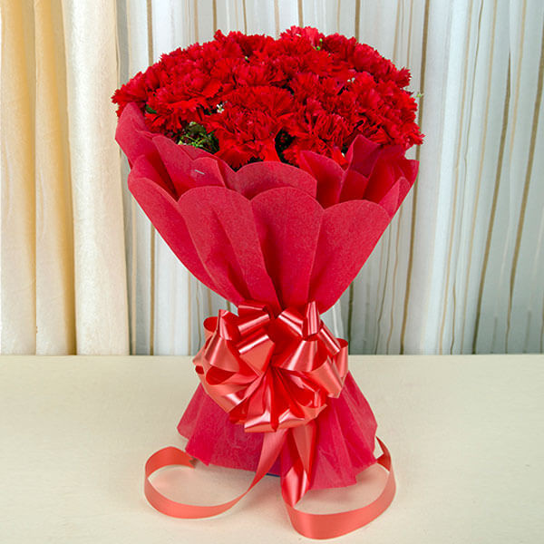 Carnival 20 Red Carnations Online